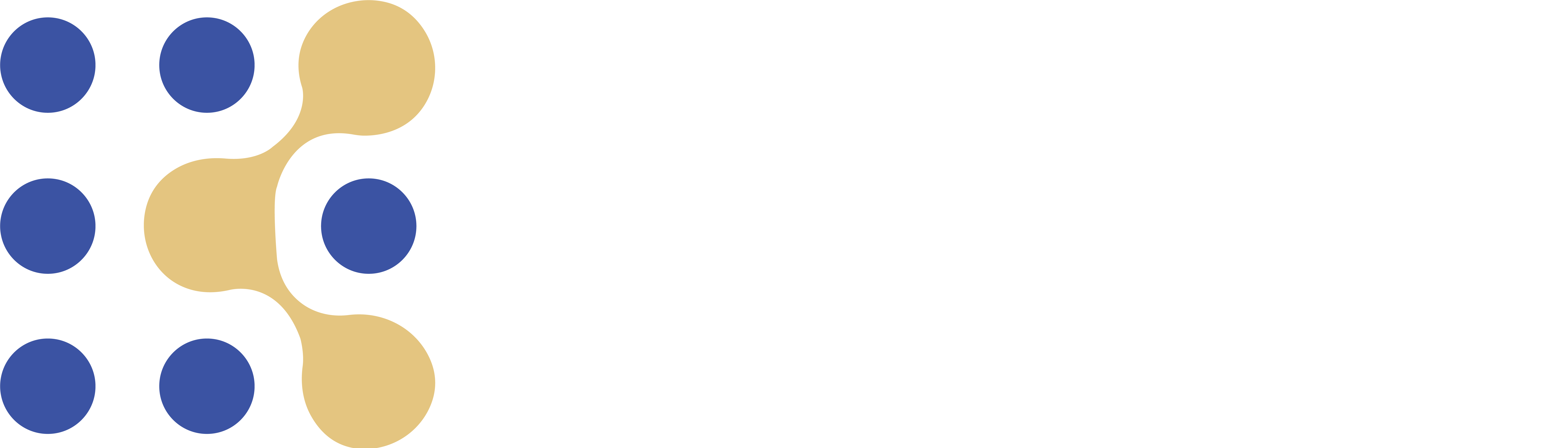 Immediate Code